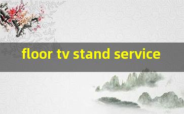 floor tv stand service